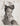 Hollywood Beauty SIGNE HASSO 1940s STYLISH POSE STUNNING PORTRAIT Photo 703