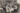 RARE CUBAN BBC HABANA LIONS PLAYERS JORGENSEN + HASS + KLEIN 1952 ORIG PHOTO 136