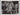 Howard Keel + Matt Mattox in Seven Brides for Seven Brothers 1954 Orig Photo 811