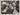 Elizabeth Taylor + June Allyson + Janet Leigh+ Margaret O'Brien 1949 Photo M 239
