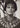 HOLLYWOOD BEAUTY AVA GARDNER STYLISH POSE STUNNING PORTRAIT 1950s Photo C43