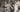 CUBA CUBAN FIDEL CASTRO + CAMILO CIENFUEGOS PORTRAIT 1959 ORIGINAL PHOTO 135