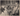 CUBA CUBAN CHINESE SOCIETY HAVANA SIGNATURE CREDIT PORTRAIT 1950 ORIG PHOTO 59