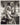 HOLLYWOOD BEAUTY ALICE FAYE STYLISH POSE STUNNING PORTRAIT 1970s Photo C40