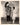 CHIEF BIG TREE + DOROTHY JANIS 1920s PORTRAIT CLARENCE SINCLAIR BULL Photo J 1