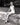 HOLLYWOOD BEAUTY LAUREN BACALL CHEESECAKE 1950s SEXY PORTRAIT ORIG PHOTO J 23