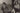 AFRICAN PERSONALITY GRACA MACHEL & CUBAN VILMA ESPIN CUBA 1977 PHOTO Y 424