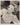 HOLLYWOOD BEAUTY JUDY GARLAND STYLISH POSE STUNNING PORTRAIT 1950s Photo C28