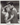 Hollywood Beauty GRETA GARBO 1950s CLARK GABLE STUNNING PORTRAIT Photo 703