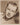 Unknown Actor (1950s) ❤ Vintage Handsome Hollywood Photo K 539