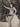 1950s CUBAN CUBA VEDETTE CHEESECAKE ALLURING POSE PORTRAIT ORIG PHOTO 144