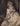 CHINA CHINESE ACTRESS COSTUME DRESS TYPICAL 1940s PORTRAIT ORIGINAL Photo 217