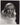 HOLLYWOOD BEAUTY VERONICA LAKE STYLISH POSE STUNNING PORTRAIT 1940s Photo 10