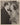 HOLLYWOOD BEAUTY NORMA SHEARER 1942 HER CARDBOARD LOVER PORTRAIT ORIG Photo 798