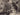 HOLLYWOOD BEAUTY VIVIEN LEIGH + HAVILLAND GABLE GONE WIND PORTRAIT 1940 Photo N