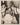 HOLLYWOOD FAY HOLDEN + MICKEY ROONEY + LOUISE B MAYER WIFE CAKE 1930s PHOTO 420