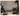 HOLLYWOOD She's a Sheik BEBE DANIELS BEHIND SCENES 1926 ORIG PHOTO J 10