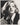 HOLLYWOOD BEAUTY GRETA GARBO STYLISH POSE STUNNING PORTRAIT 1950s Photo C28