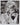 HOLLYWOOD BEAUTY JANE FONDA STYLISH POSE STUNNING PORTRAIT 1960s Photo C43