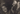 PERFECTO ROMERO Ernesto Che Guevara Cuban 1959 CAMILO CIENFUEGOS PHOTO 606