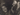 PERFECTO ROMERO Ernesto Che Guevara Cuban 1959 CAMILO CIENFUEGOS PHOTO 606
