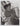 HOLLYWOOD BEAUTY JOAN CRAWFORD STYLISH POSE STUNNING PORTRAIT 1950s Photo C33