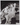 HOLLYWOOD BEAUTY LUCILLE BALL STYLISH POSE STUNNING PORTRAIT 1940s Photo C33