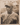 CUBAN NEGRO LEAGUE HOF BARTOLO PORTUONDO SIGNED BASEBALL 1940s ORIG PHOTO 59