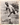 1959 Jay Publishing All Stars CARL HUBBELL PHOTO ADVERTISING 8x10 UNC MA6