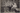 RARE CUBAN BBC HABANA LIONS PLAYERS JORGENSEN + HASS + KLEIN 1952 ORIG PHOTO 136