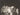 1959 CUBAN REBEL CAMILO CIENFUEGOS HAVANA CARNIVAL ALBERTO KORDA PHOTO J 88