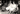 1960s Orig Cuban Photo CUBAN BALLET DANCER ALICIA ALONSO STUNNING PORTRAIT MA3