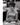 HOLLYWOOD BEAUTY ERIN O BRIEN STUNNING PORTRAIT JOHN WALTHER 1950s Photo 797