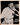 1959 Jay Publishing All Stars CASEY STENGEL PHOTO ADVERTISING 8x10 UNC MA6