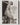 HOLLYWOOD BEAUTY JOAN CRAWFORD STYLISH POSE STUNNING PORTRAIT 1950s Photo C33