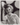 Hollywood Beauty BEVERLY TYLER 1950s CLARANCE SINCLAIR BULL PORTRAIT Photo 703