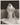 HOLLYWOOD BEAUTY JOAN CRAWFORD STYLISH POSE STUNNING PORTRAIT 1950s Photo C33