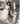CUBAN VEDETTE TETE BLANCO STYLISH POSE STUNNING PORTRAIT 1950s VINTAGE PHOTO MA