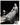 HOLLYWOOD BEAUTY GINGER ROGERS by LIPPMAN STUNNING PORTRAIT 1940s Photo C34