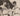 CUBA CUBAN BASEBALL YUYO ACOSTA + ALBERTO VALDES PORTRAIT 1950s ORIG Photo 200