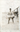 Circa 1923 Cuban Stars BASEBALL NEGRO BENIGNO BENITO ALVAREZ ORIGINAL PHOTO 209