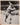 1959 Jay Publishing All Stars ROGER HORNSBY PHOTO ADVERTISING 8x10 UNC MA6