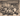CUBA CUBAN CHINESE SOCIETY HAVANA SIGNATURE CREDIT PORTRAIT 1950 ORIG PHOTO 59