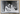 RARE OVERSIZE LATIN AMERICAN ART Félix Antequera ARTIST PHOTO PHOTOGRAPHY XXL