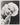 HOLLYWOOD BEAUTY JEAN HARLOW STYLISH POSE STUNNING PORTRAIT 1970s Photo N