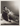 HOLLYWOOD BEAUTY JEAN HARLOW + CLARK GABLE STUNNING PORTRAIT 1950s Photo 322
